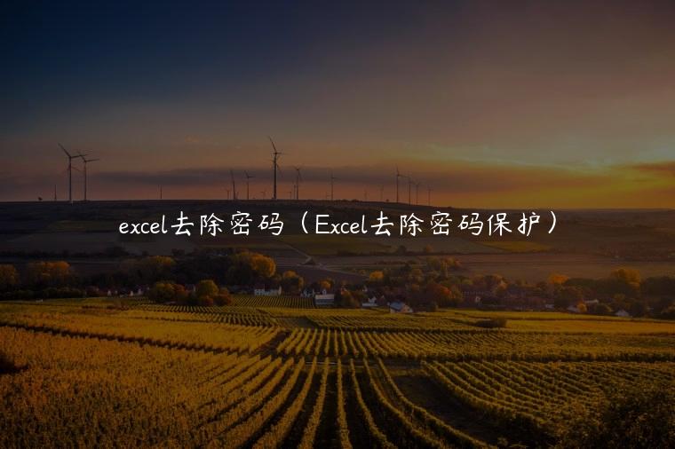 excel去除密码（Excel去除密码保护）