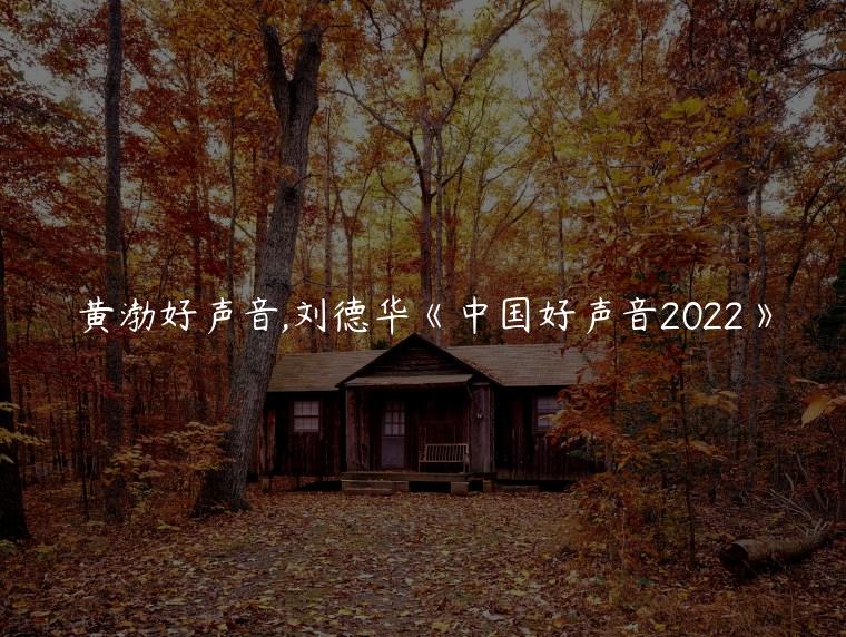 黄渤好声音,刘德华《中国好声音2022》