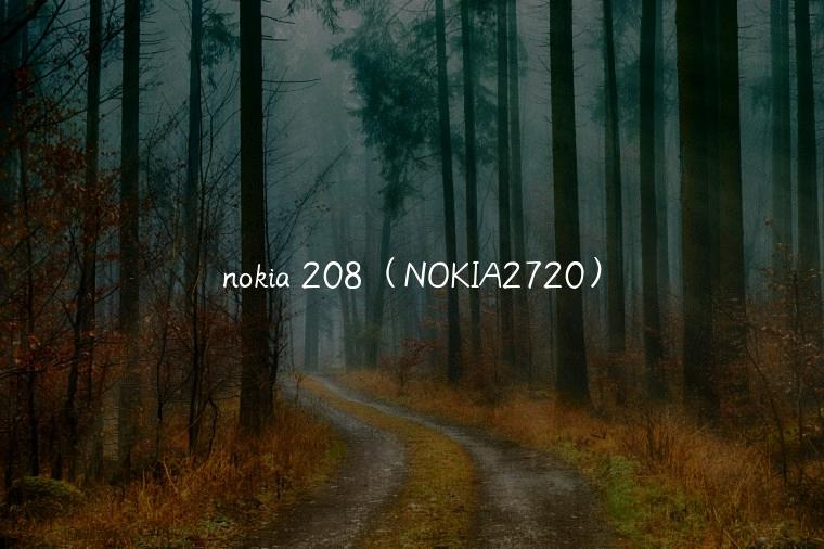 nokia 208（NOKIA2720）