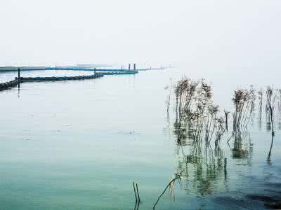 中国四大淡水湖是哪四个（四大淡水湖排名及属哪个省）
