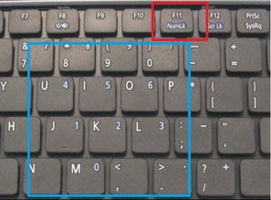 笔记本电脑数字小键盘重要吗,笔记本屏幕数字小键盘