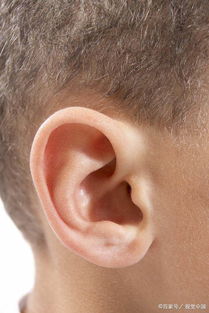 导致耳朵聋,耳聋受什么因素影响