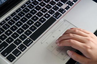 笔记本电脑数字小键盘重要吗,笔记本屏幕数字小键盘