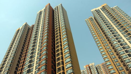 线上租房子「你愿意在线租房吗上海随申办移动端上线我要租房」