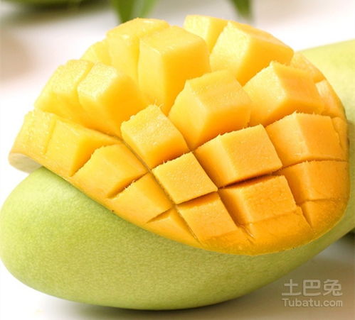 芒果硬的青的能直接吃吗「青芒果硬的能直接吃吗如何判断青芒可以吃了壹健康经验」