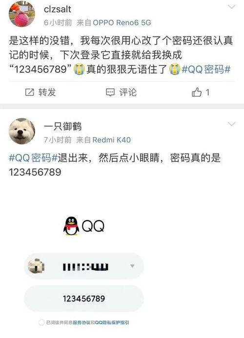 qq无密码登陆,免密码登录qq