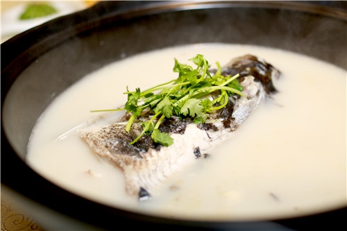 清炖鱼头豆腐汤的做法 这样做营养又鲜美