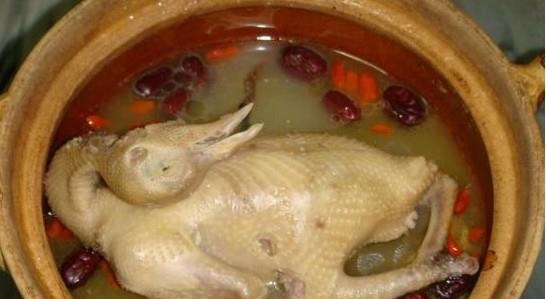鸽子汤的功效及烹饪技巧